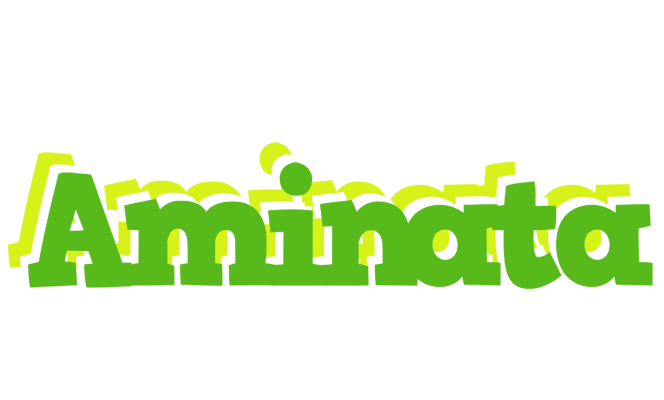 Aminata picnic logo