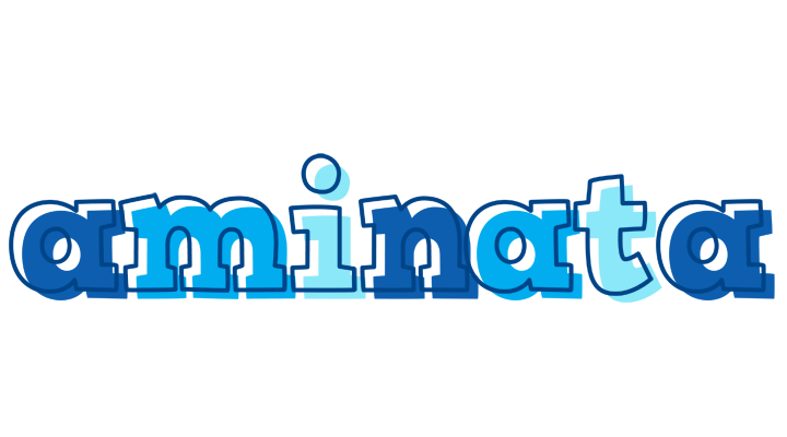 Aminata sailor logo
