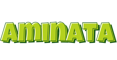 Aminata summer logo