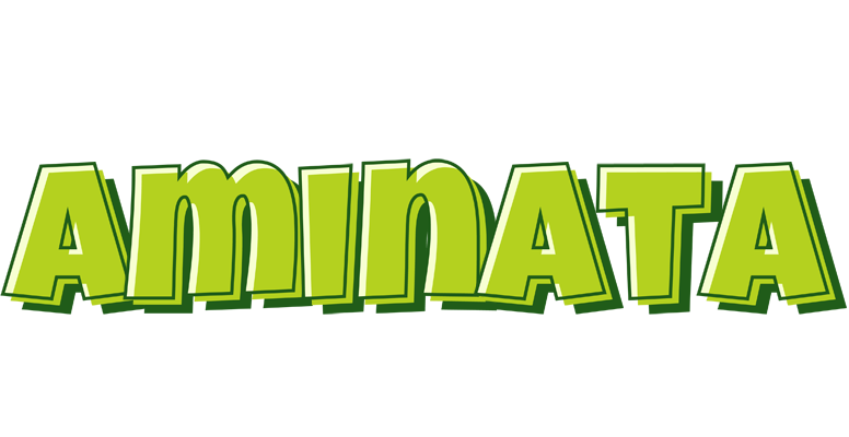 Aminata summer logo