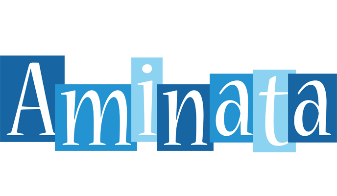 Aminata winter logo