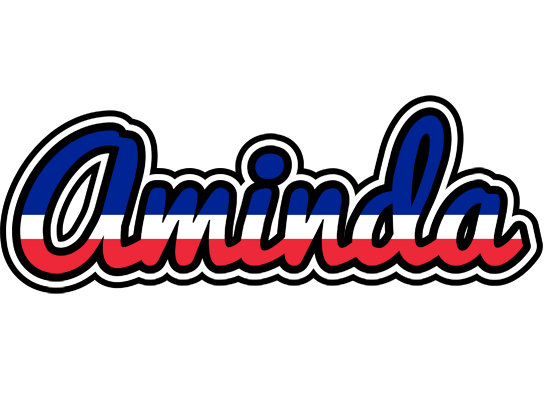 Aminda france logo