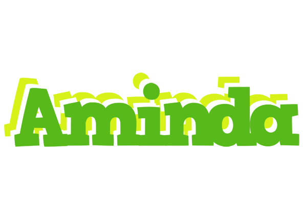 Aminda picnic logo