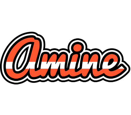 Amine denmark logo