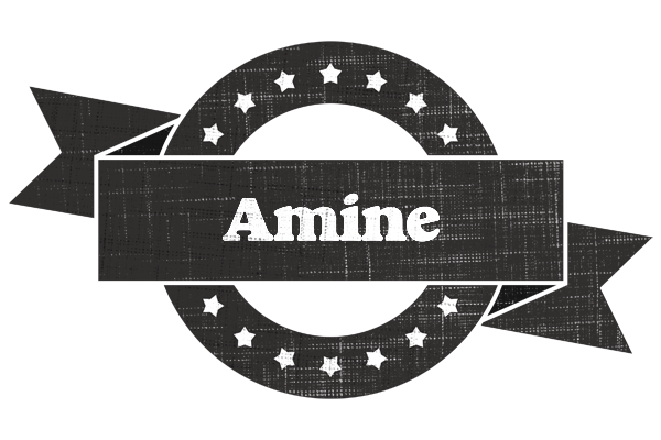Amine grunge logo