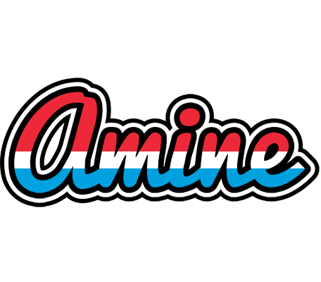 Amine norway logo