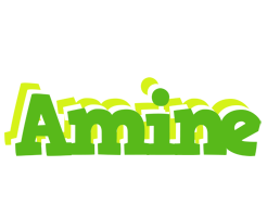 Amine picnic logo