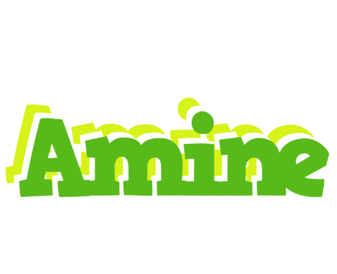 Amine picnic logo
