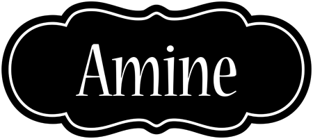 Amine welcome logo