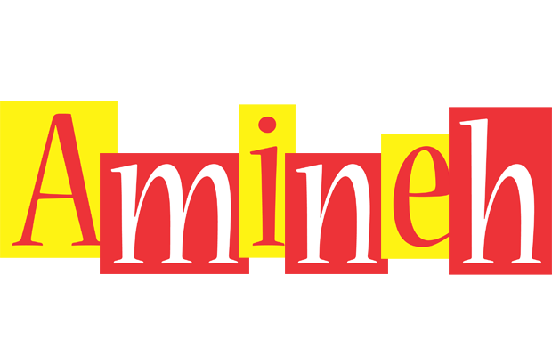 Amineh errors logo