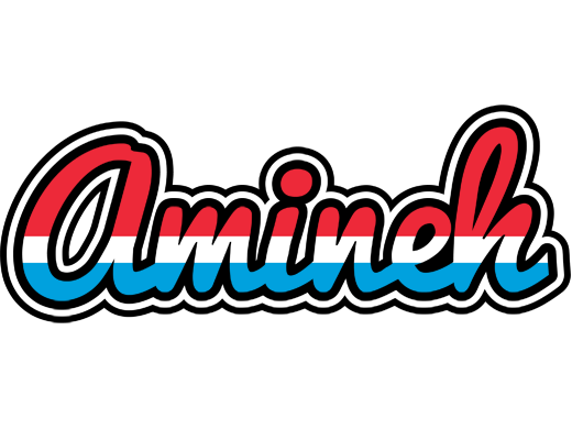 Amineh norway logo