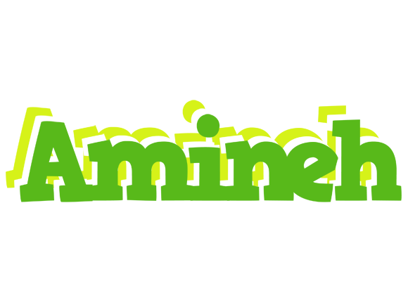 Amineh picnic logo
