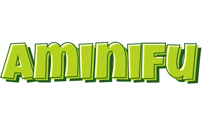 Aminifu summer logo