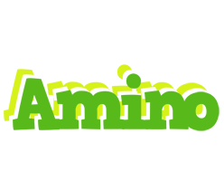 Amino picnic logo