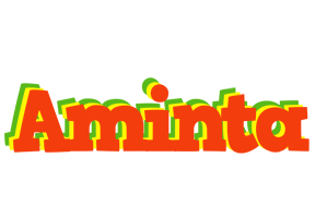 Aminta bbq logo