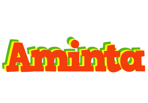 Aminta bbq logo