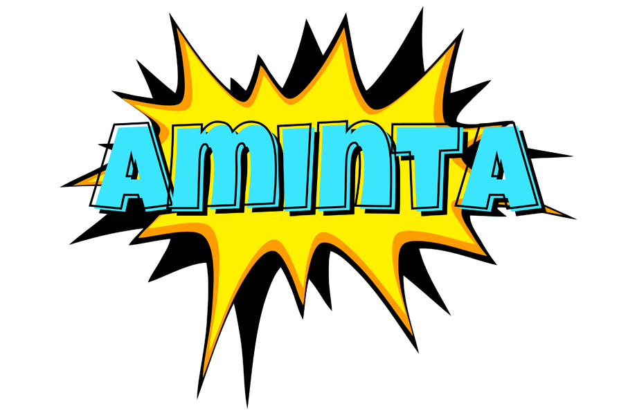 Aminta indycar logo