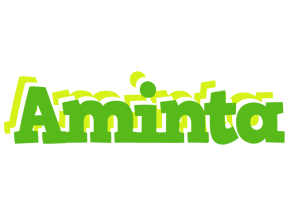 Aminta picnic logo