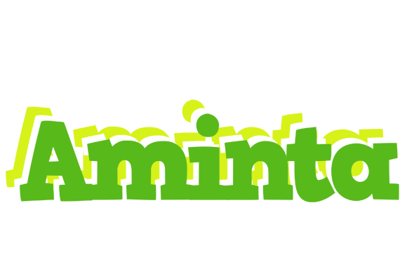 Aminta picnic logo
