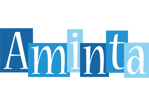 Aminta winter logo