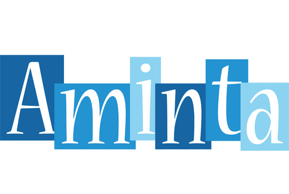 Aminta winter logo