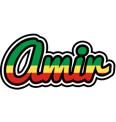 Amir african logo