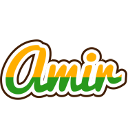 Amir banana logo