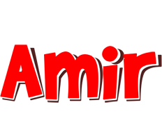 Amir basket logo