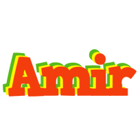 Amir bbq logo