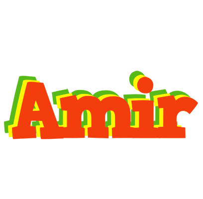 Amir bbq logo