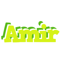 Amir citrus logo