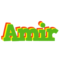 Amir crocodile logo