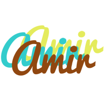 Amir cupcake logo