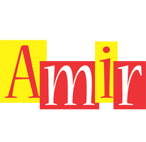 Amir errors logo