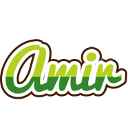 Amir golfing logo