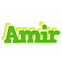 Amir picnic logo