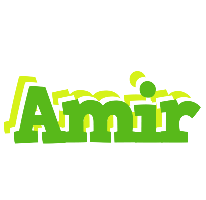 Amir picnic logo