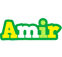 Amir soccer logo