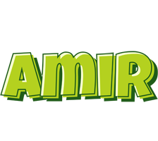 Amir summer logo