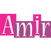 Amir whine logo