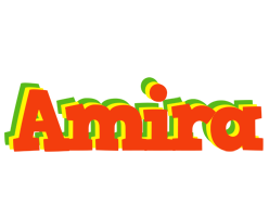 Amira bbq logo