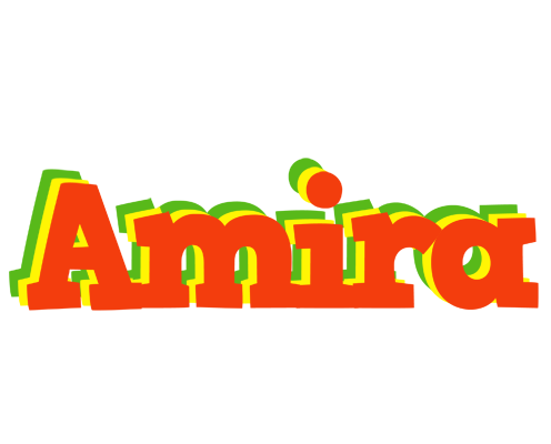 Amira bbq logo