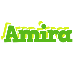 Amira picnic logo