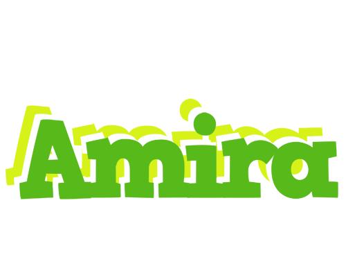 Amira picnic logo
