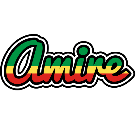 Amire african logo