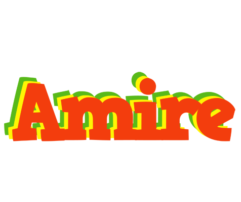 Amire bbq logo