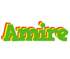 Amire crocodile logo