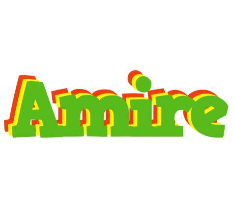 Amire crocodile logo