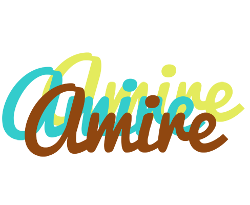 Amire cupcake logo