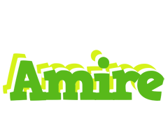 Amire picnic logo